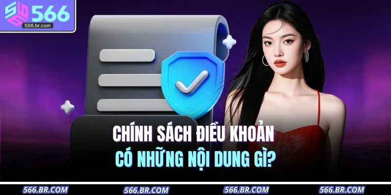 Chính sách điều khoản có những nội dung gì?