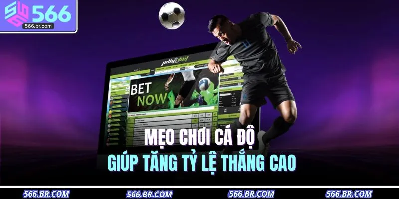 Mẹo chơi cá độ giúp tăng tỷ lệ thắng cao