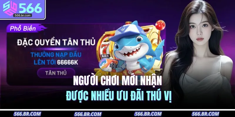 Người chơi mới nhận được nhiều ưu đãi thú vị 