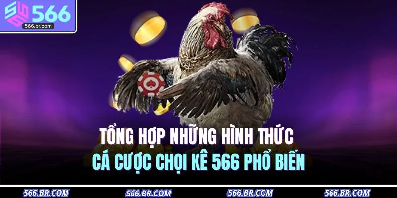 Tổng hợp những hình thức cá cược chọi kê 566 phổ biến
