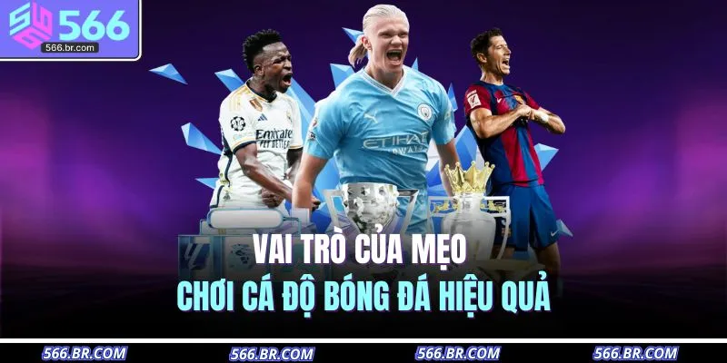 Vai trò của mẹo chơi cá độ bóng đá hiệu quả